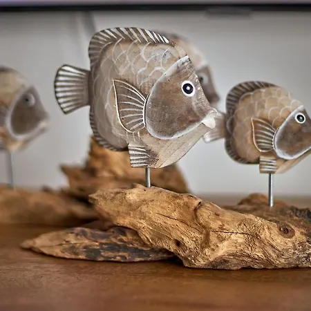 公寓 Casa 7 Soles 普拉亚布兰卡