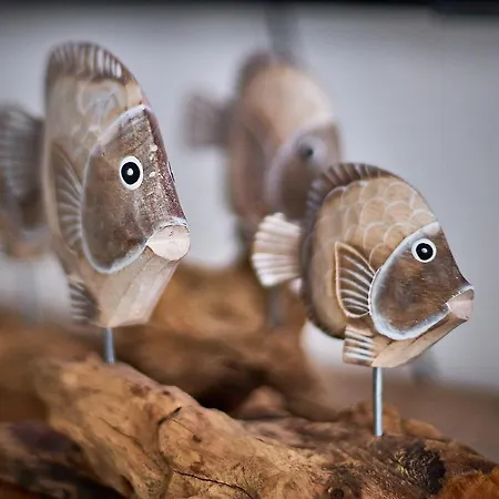 Apartmán Casa 7 Soles